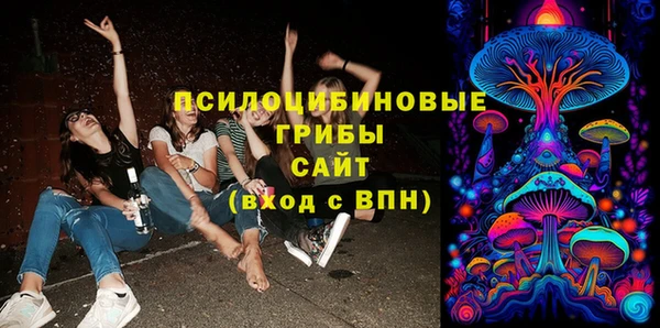 мяу мяу мука Козельск