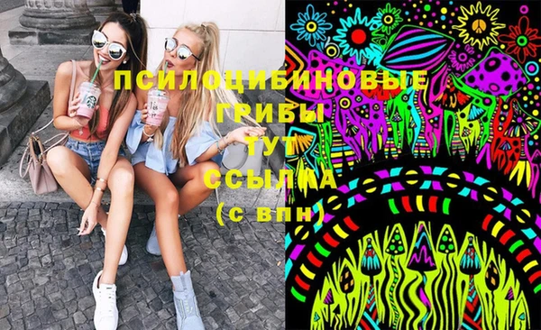 а пвп мука Козловка