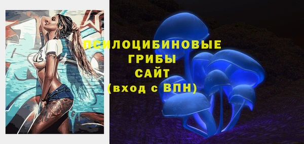мяу мяу мука Козельск
